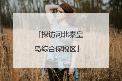 探访河北秦皇岛综合保税区